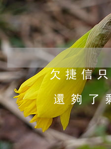 欠捷信只還本金(欠捷信錢(qián)本金還夠了剩下的不還會(huì)怎么樣)