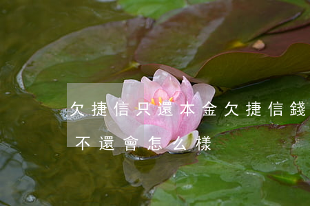 欠捷信只還本金(欠捷信錢本金還夠了剩下的不還會怎么樣)