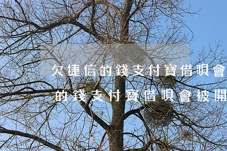 欠捷信的錢支付寶借唄會被開通嗎-欠捷信的錢支付寶借唄會被開通嗎安全嗎