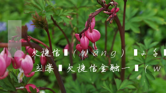 欠捷信網(wǎng)貸2千會(huì)立案嗎(欠捷信金融一萬(wàn)多會(huì)怎樣會(huì)被上訴嗎?)