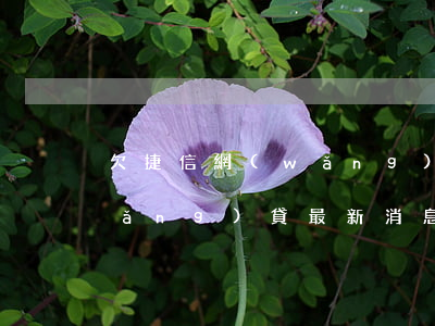 欠捷信網(wǎng)貸一萬多(捷信網(wǎng)貸最新消息)