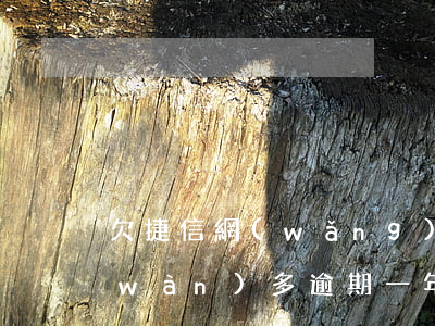 欠捷信網(wǎng)貸七年(欠捷信4萬(wàn)多,逾期一年,這些后果你承受得起嗎?)