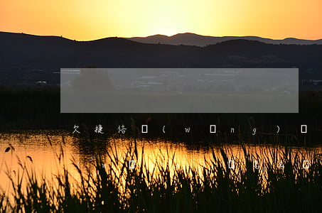 欠捷信網(wǎng)貸還要不要還(捷信網(wǎng)貸怎么還款)