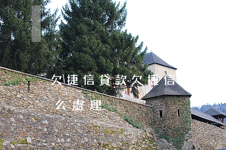 欠捷信貸款，欠捷信貸款暫時還不上法院會怎么處理