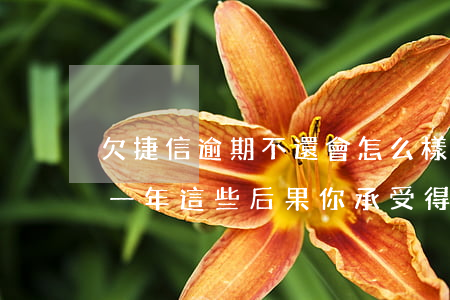欠捷信逾期不還會怎么樣(欠捷信4萬多,逾期一年,這些后果你承受得起嗎?)
