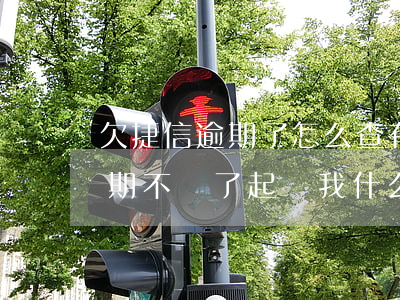 欠捷信逾期了怎么查有沒有被起訴(欠捷信逾期不還了起訴我什么時(shí)候抓人)