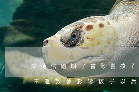 欠捷信逾期了會影響孩子一生嗎-捷信逾期不還款,會影響孩子以后的征信嗎