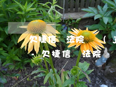 欠捷信錢法院凍結(jié)信用卡怎么辦-欠捷信錢法院凍結(jié)信用卡怎么辦理