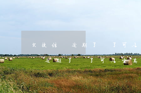 欠捷信錢逾期了還了可以坐高鐵嗎-欠捷信錢逾期了還了可以坐高鐵嗎怎么辦