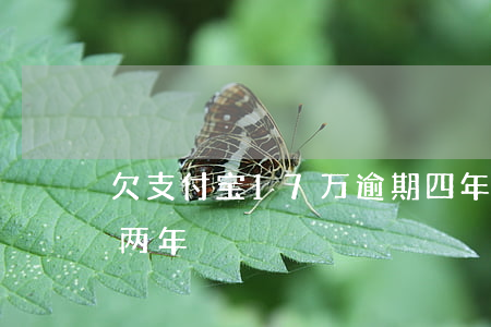 欠支付宝17万逾期四年(支付宝欠6万逾期两年)