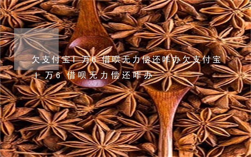 欠支付宝1万6借呗无力偿还咋办(欠支付宝1万6借呗无力偿还咋办)