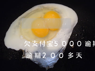 欠支付宝5000逾期两年(欠支付宝两万五逾期200多天)