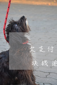 欠支付宝一万多逾期一个月(支付宝欠款一万块钱逾期了怎么办)