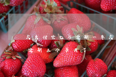 欠支付宝七万逾期一年(欠支付宝七万多已经逾期三个多月了)