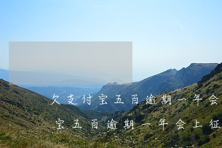 欠支付宝五百逾期一年会上征信吗-欠支付宝五百逾期一年会上征信吗知乎