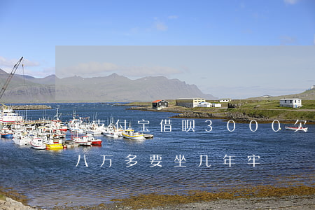 欠支付宝借呗3000(欠支付宝借呗花呗共八万多要坐几年牢)