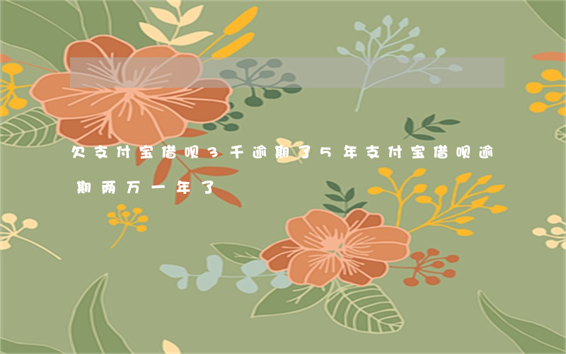 欠支付宝借呗3千逾期了5年(支付宝借呗逾期两万一年了)