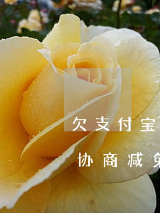 欠支付宝借呗可以协商免息吗(支付宝借呗能协商减免利息和违约金吗)