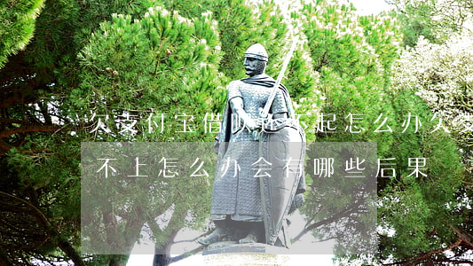 欠支付宝借呗还不起怎么办(欠支付宝借呗还不上怎么办会有哪些后果)