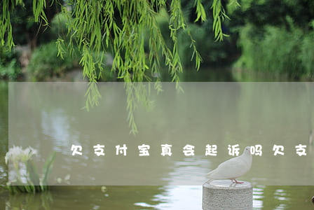 欠支付宝真会起诉吗(欠支付宝会不会坐牢)