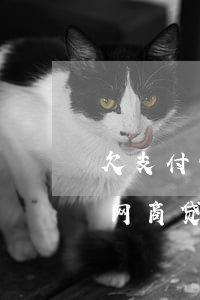 欠支付宝网商贷12万三年没还-欠支付宝网商贷12万三年没还会怎样