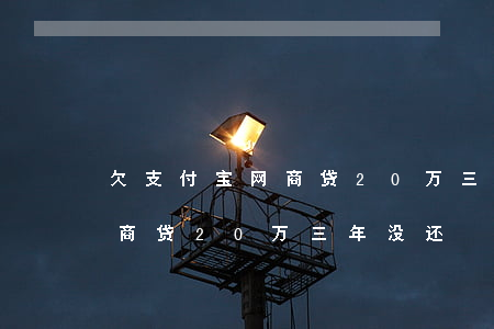 欠支付宝网商贷20万三年没还(欠支付宝网商贷20万三年没还)