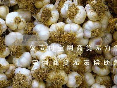 欠支付宝网商贷无力偿还怎么办-欠了支付宝网商贷无法偿还怎么办