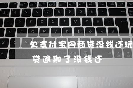 欠支付宝网商贷没钱还玩失踪了(支付宝网商贷逾期了没钱还)