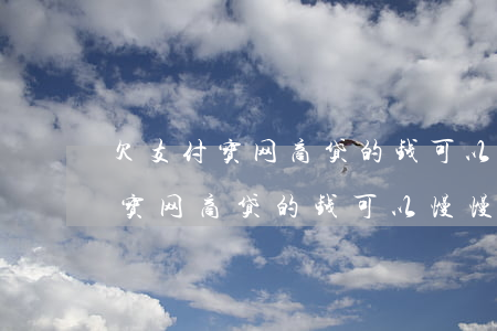 欠支付宝网商贷的钱可以慢慢还吗-欠支付宝网商贷的钱可以慢慢还吗知乎