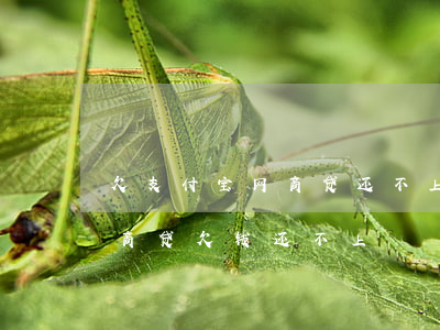 欠支付宝网商贷还不上的人多吗-支付宝网商贷欠钱还不上