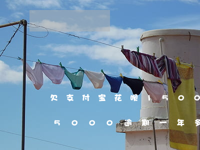 欠支付宝花呗1500逾期三四个月（花呗欠5000逾期一年多）