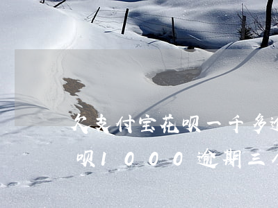 欠支付宝花呗一千多逾期3个月-支付宝花呗1000逾期三个月要还多少钱