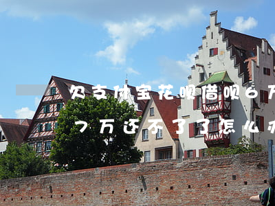 欠支付宝花呗借呗6万(支付宝花呗借呗欠了7万还不了了怎么办)