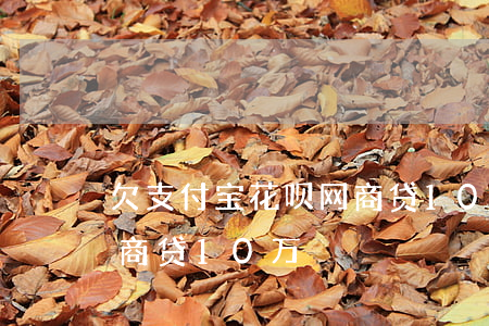 欠支付宝花呗网商贷10万(欠支付宝花呗网商贷10万)