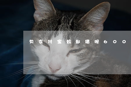 欠支付宝蚂蚁借呗6000元逾期