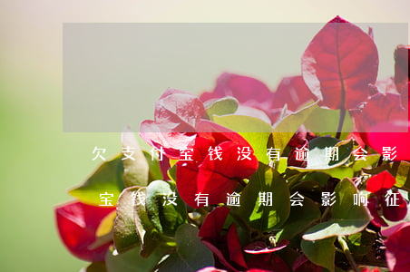 欠支付宝钱没有逾期会影响征信吗-欠支付宝钱没有逾期会影响征信吗知乎