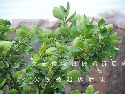 欠支付宝钱被起诉后应该怎么样处理（支付宝欠钱被起诉后果）