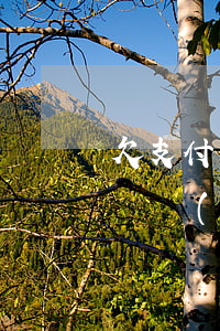 欠支付寶10萬(wàn)無(wú)力償還會(huì)判刑嗎-欠支付寶10萬(wàn)無(wú)力償還會(huì)判刑嗎知乎