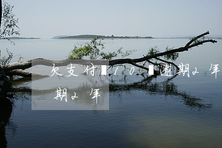 欠支付寶10萬逾期2年(欠支付寶10萬逾期2年)