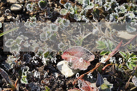 欠支付寶10萬逾期500多天-支付寶逾期1300天