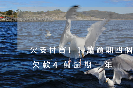 欠支付寶11萬逾期四個(gè)月 支付寶欠款4萬逾期一年