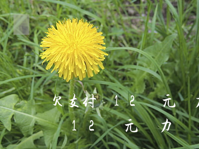 欠支付寶12萬元無力償還會怎樣-欠支付寶12萬元無力償還會怎樣處理
