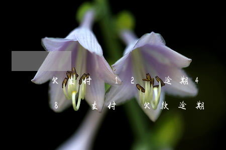 欠支付寶12萬逾期4個月被起訴會坐牢嗎（8萬支付寶欠款逾期會被起訴嗎）