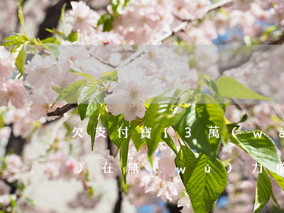 欠支付寶13萬(wàn)元,現(xiàn)在無(wú)力償還怎么辦?-欠支付寶13萬(wàn)元,現(xiàn)在無(wú)力償還怎么辦呢