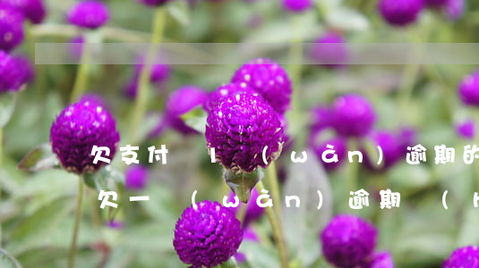 欠支付寶1萬(wàn)逾期的后果(支付寶欠一萬(wàn)逾期會(huì)怎么樣)