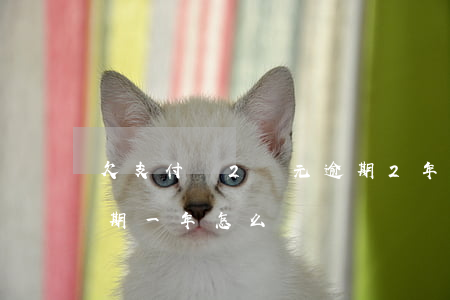 欠支付寶2萬元逾期2年(支付寶欠款兩萬逾期一年怎么辦?)