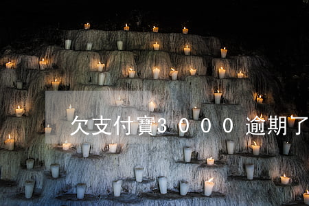 欠支付寶3000逾期了