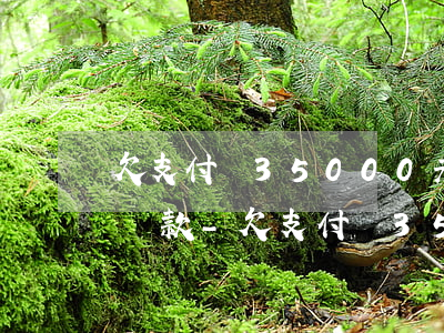 欠支付寶35000元如何協(xié)商還款-欠支付寶35000元如何協(xié)商還款呢