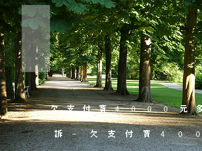 欠支付寶4000元多久會(huì)被起訴-欠支付寶4000元多久會(huì)被起訴呢