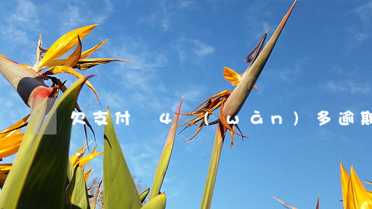 欠支付寶4萬(wàn)多逾期一千多天了-